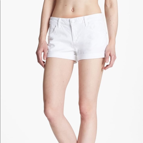 Hudson Hampton Shorts - Picture 6 of 8